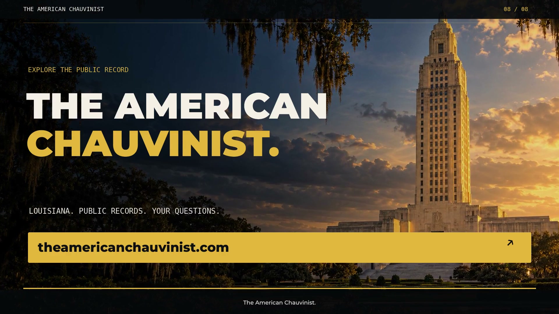 The American Chauvinist film artwork